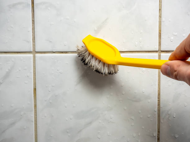 Best Certified Mold Removal  in Vandergrift, PA